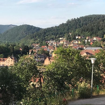 Chez Jose Lägenhet Rothau Exteriör bild