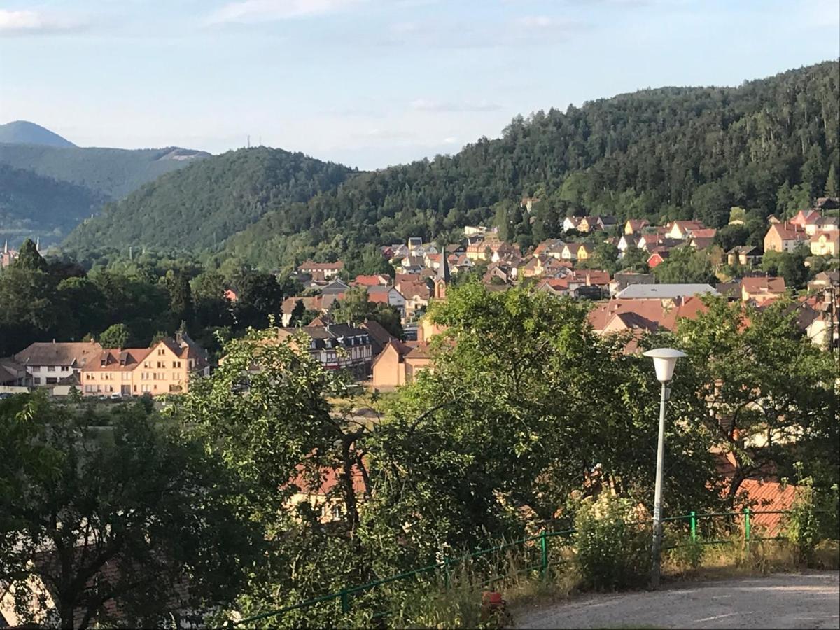 Chez Jose Lägenhet Rothau Exteriör bild